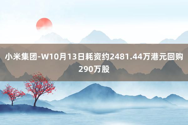 小米集团-W10月13日耗资约2481.44万港元回购290万股